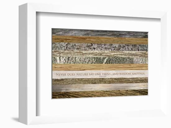 Nature's Wisdom (after Juvenal)-null-Framed Premium Giclee Print