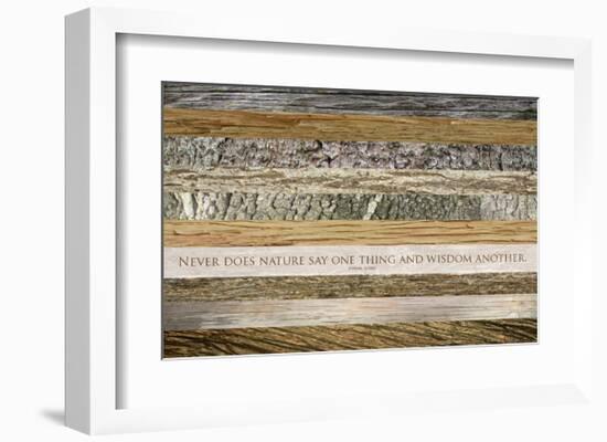 Nature's Wisdom (after Juvenal)-null-Framed Art Print