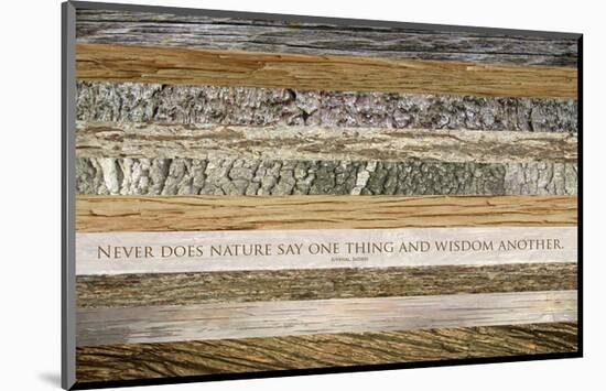 Nature's Wisdom (after Juvenal)-null-Mounted Art Print