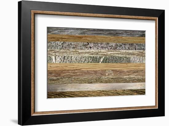 Nature's Wisdom-null-Framed Art Print