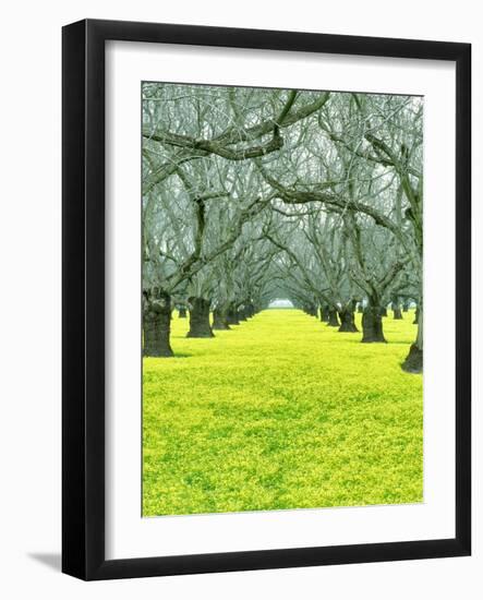 Nature Series 827-PhotoDF-Framed Giclee Print