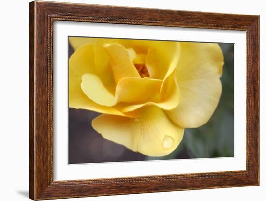 Nature Series 881-PhotoDF-Framed Giclee Print