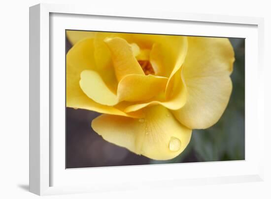 Nature Series 881-PhotoDF-Framed Giclee Print