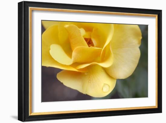 Nature Series 881-PhotoDF-Framed Giclee Print