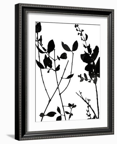 Nature Silhouette I-Danielle Carson-Framed Art Print