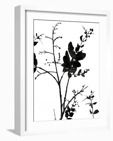 Nature Silhouette II-Danielle Carson-Framed Art Print