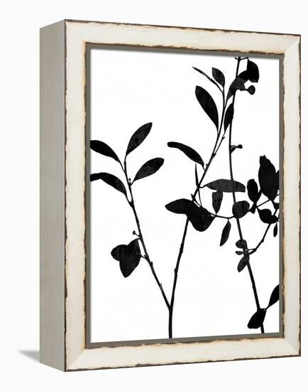 Nature Silhouette III-Danielle Carson-Framed Stretched Canvas