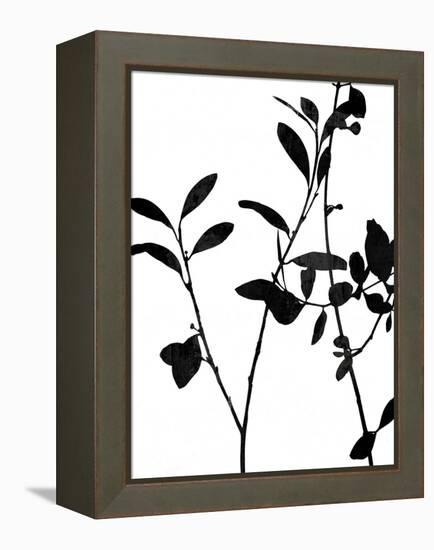 Nature Silhouette III-Danielle Carson-Framed Stretched Canvas