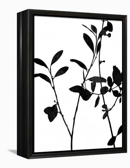 Nature Silhouette III-Danielle Carson-Framed Stretched Canvas