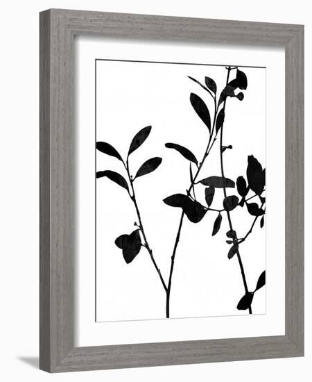 Nature Silhouette III-Danielle Carson-Framed Art Print