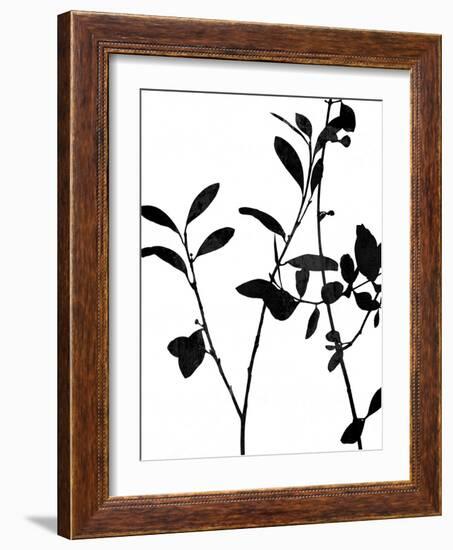 Nature Silhouette III-Danielle Carson-Framed Art Print