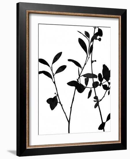 Nature Silhouette III-Danielle Carson-Framed Art Print