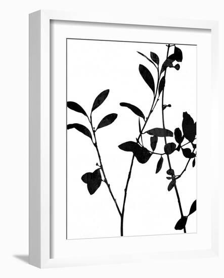 Nature Silhouette III-Danielle Carson-Framed Art Print