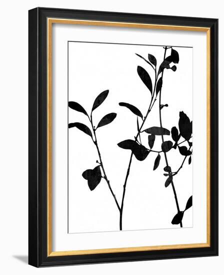 Nature Silhouette III-Danielle Carson-Framed Art Print