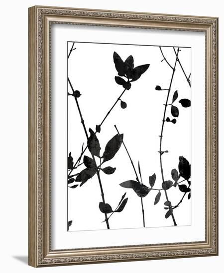 Nature Silhouette IV-Danielle Carson-Framed Art Print