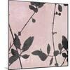 Nature Silhouette on Blush III-Danielle Carson-Mounted Art Print