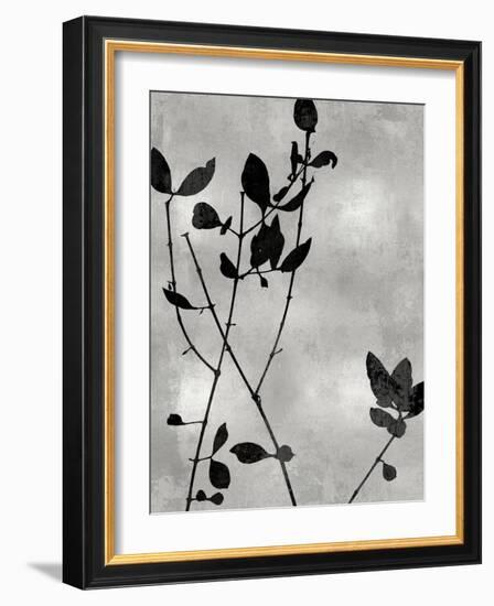 Nature Silhouette Silver I-Danielle Carson-Framed Art Print