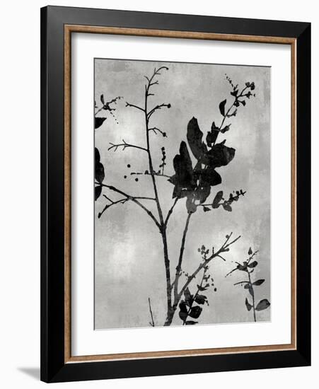 Nature Silhouette Silver II-Danielle Carson-Framed Art Print