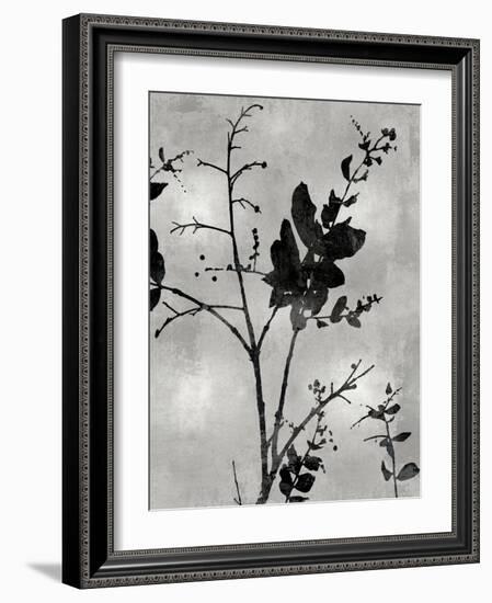 Nature Silhouette Silver II-Danielle Carson-Framed Art Print