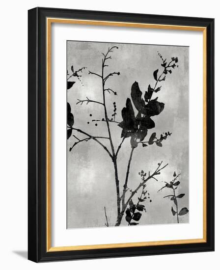 Nature Silhouette Silver II-Danielle Carson-Framed Art Print