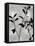 Nature Silhouette Silver III-Danielle Carson-Framed Stretched Canvas