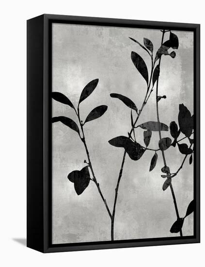 Nature Silhouette Silver III-Danielle Carson-Framed Stretched Canvas