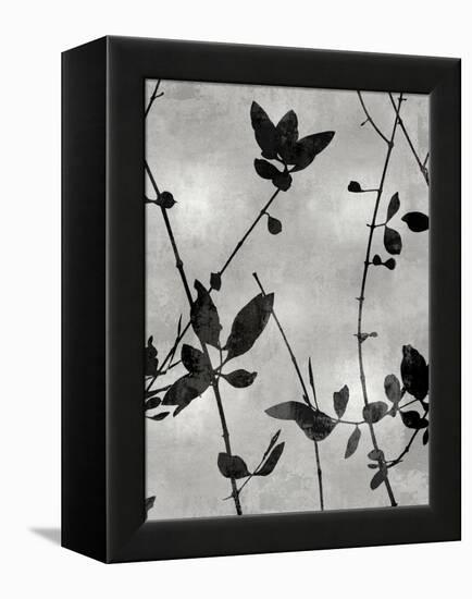 Nature Silhouette Silver IV-Danielle Carson-Framed Stretched Canvas