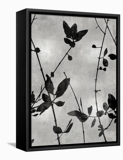 Nature Silhouette Silver IV-Danielle Carson-Framed Stretched Canvas