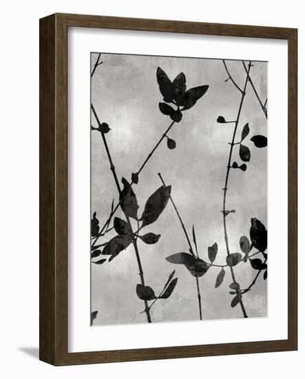 Nature Silhouette Silver IV-Danielle Carson-Framed Art Print