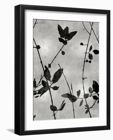 Nature Silhouette Silver IV-Danielle Carson-Framed Art Print