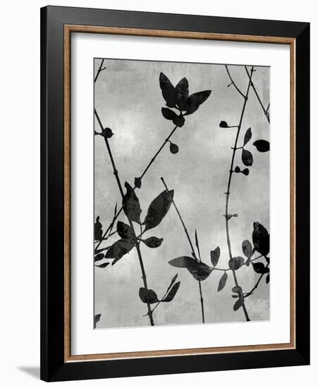 Nature Silhouette Silver IV-Danielle Carson-Framed Art Print