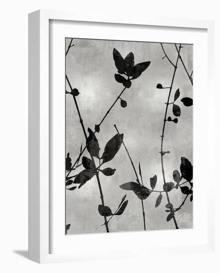 Nature Silhouette Silver IV-Danielle Carson-Framed Art Print