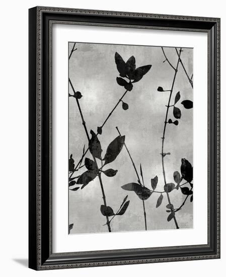 Nature Silhouette Silver IV-Danielle Carson-Framed Art Print