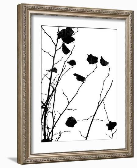 Nature Silhouette V-Danielle Carson-Framed Art Print