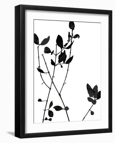Nature Silhouette VI-Danielle Carson-Framed Art Print