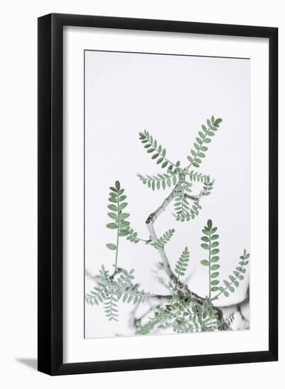 Nature Sprigs-Irene Suchocki-Framed Giclee Print