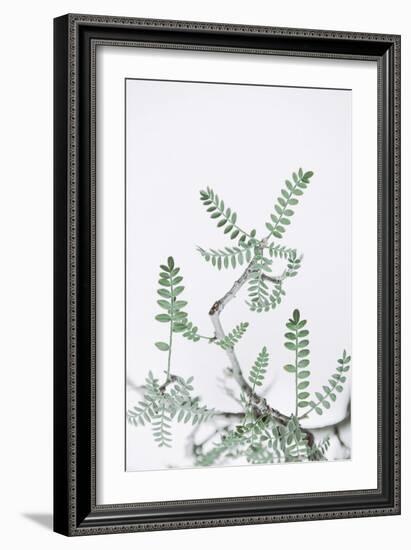 Nature Sprigs-Irene Suchocki-Framed Giclee Print