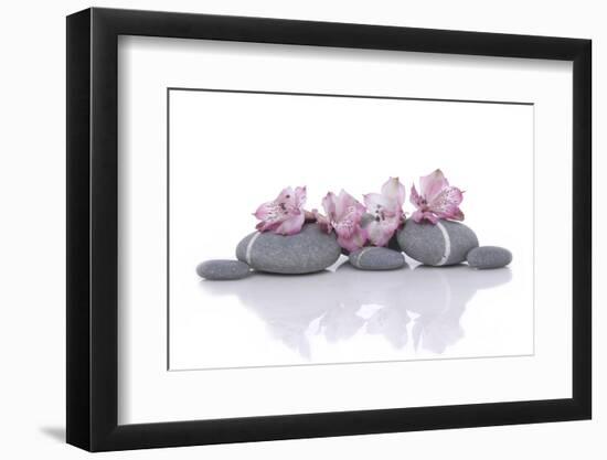 Nature Stones with Pink Orchid-Apollofoto-Framed Photographic Print