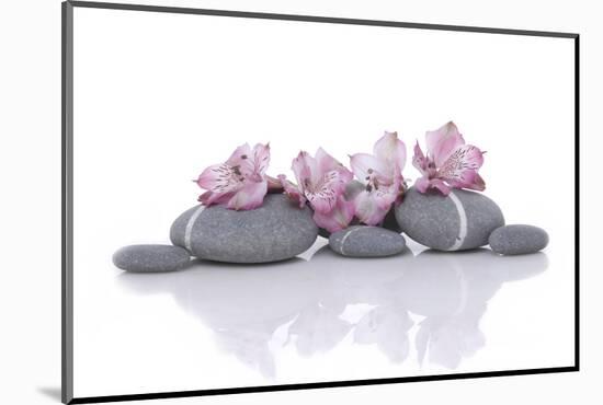 Nature Stones with Pink Orchid-Apollofoto-Mounted Photographic Print