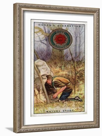 Nature Study Badge for Scouts, Scout Entering a 'Hide', 1929-English School-Framed Giclee Print