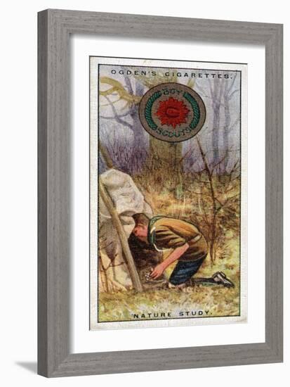 Nature Study Badge for Scouts, Scout Entering a 'Hide', 1929-English School-Framed Giclee Print