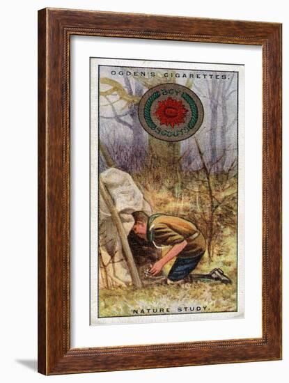 Nature Study Badge for Scouts, Scout Entering a 'Hide', 1929-English School-Framed Giclee Print