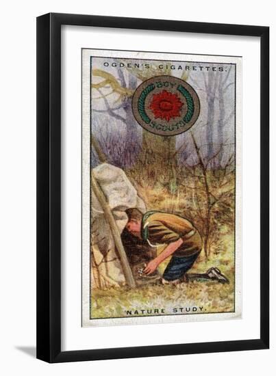 Nature Study Badge for Scouts, Scout Entering a 'Hide', 1929-English School-Framed Giclee Print