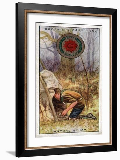 Nature Study Badge for Scouts, Scout Entering a 'Hide', 1929-English School-Framed Giclee Print