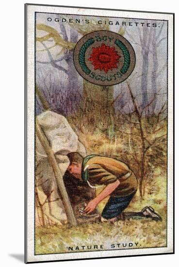 Nature Study Badge for Scouts, Scout Entering a 'Hide', 1929-English School-Mounted Giclee Print
