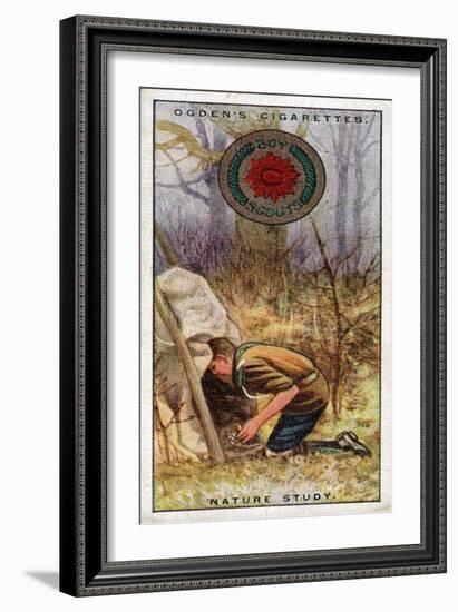 Nature Study Badge for Scouts, Scout Entering a 'Hide', 1929-English School-Framed Giclee Print