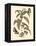 Nature Study in Sepia I-Maria Sibylla Merian-Framed Stretched Canvas