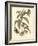 Nature Study in Sepia I-Maria Sibylla Merian-Framed Art Print