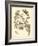 Nature Study in Sepia II-Maria Sibylla Merian-Framed Art Print