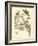 Nature Study in Sepia II-Maria Sibylla Merian-Framed Art Print